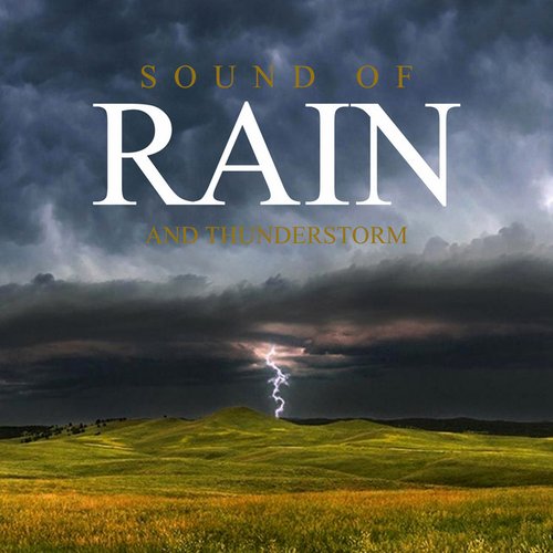 Rain and Thunder Sounds
