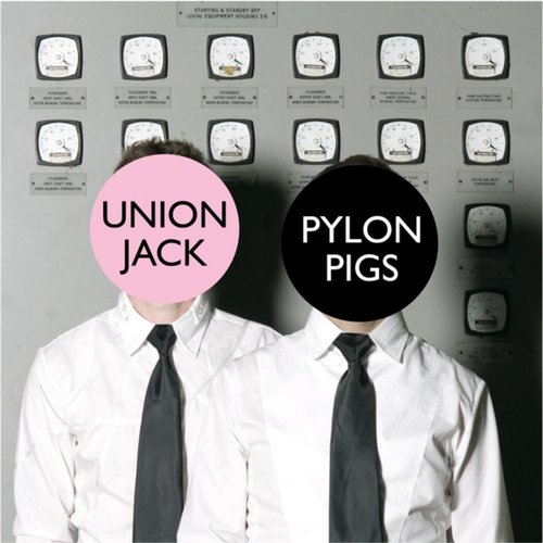 Pylon Pigs