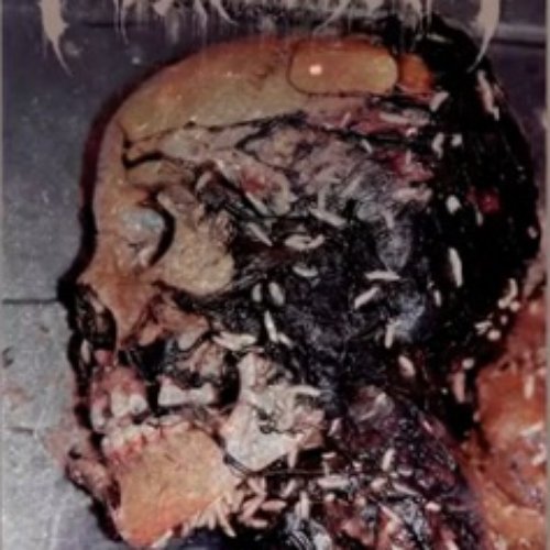 Mortuarium