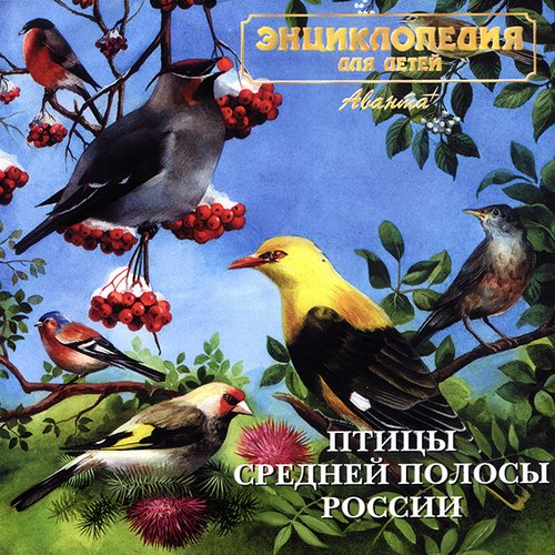 Птички средней полосы. Голоса птиц России. Славки птицы средней полосы России. Звуки природы птицы.