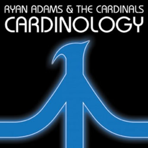 2008 - Cardinology