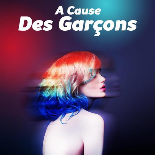A Cause des Garçons