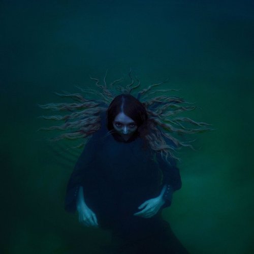 Dryland - Single