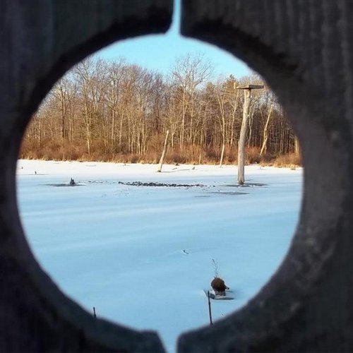 Memories Long Forgotten [Explicit]