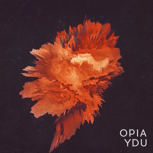 Ydu