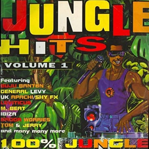 Jungle Hits Volume 1