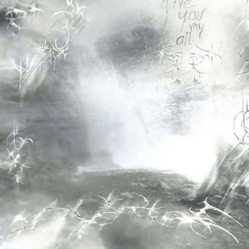 Nebel - Single