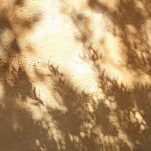 Light