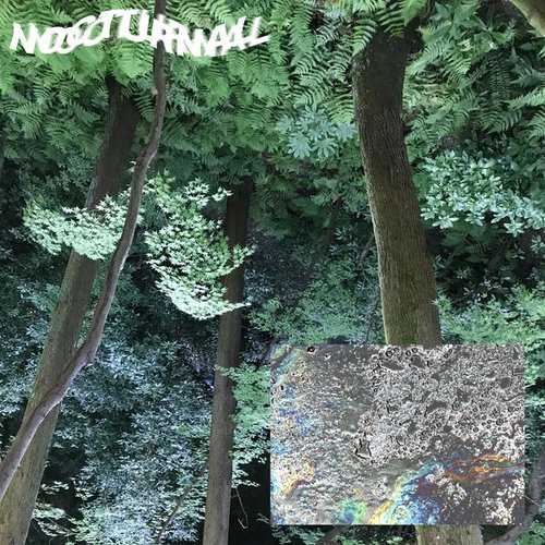 NOCTURNAL - Single