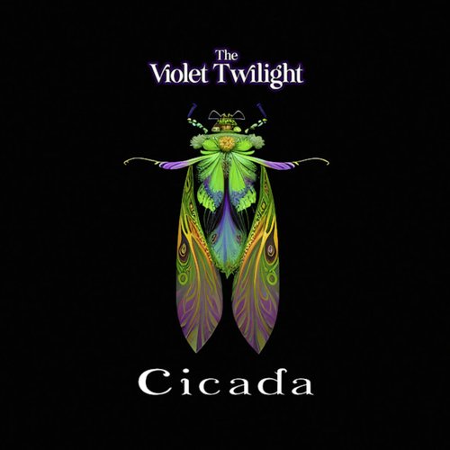 Cicada