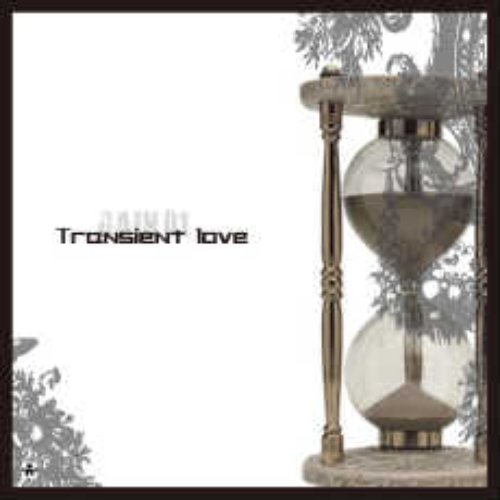 transient love