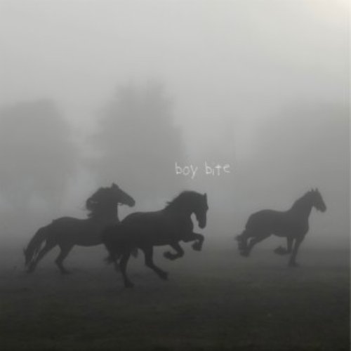 boy bite