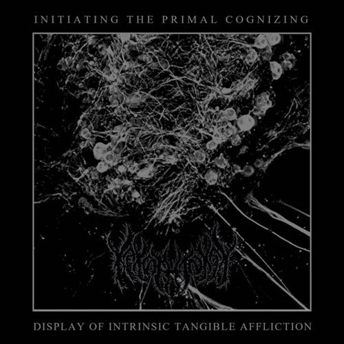 Initiating The Primal Cognizing Display Of Intrinsic Tangible Affliction