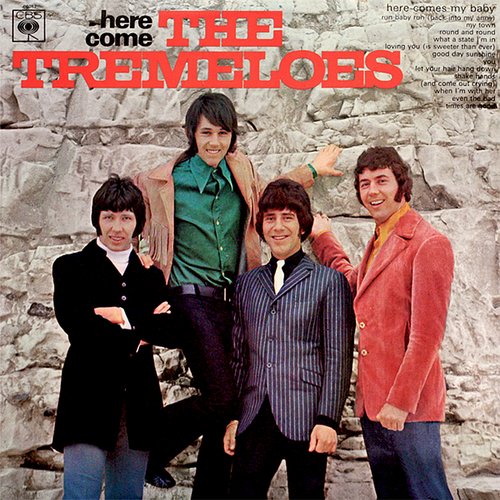 Here Come the Tremeloes