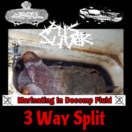 Marinating In Decomp Fluid