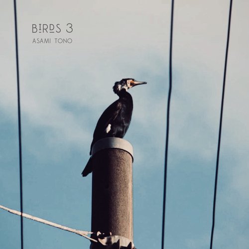 Birds 3