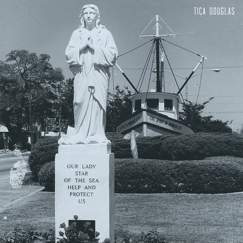 our lady star of the sea, help and protect us