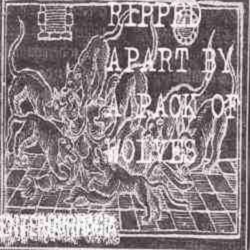 Ripped Apart by a Pack of Wolves