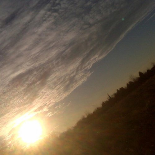 Love In The Evening Sun