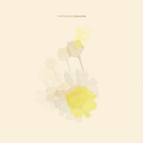 chamomile