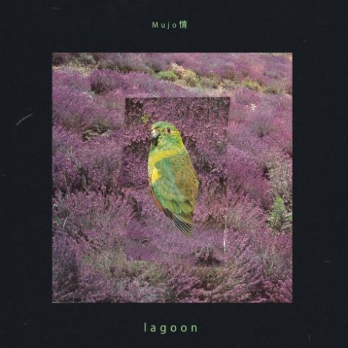 Lagoon