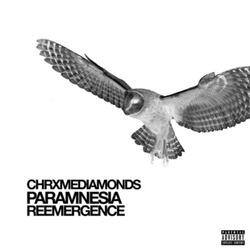 PARAMNESIA: REEMERGENCE