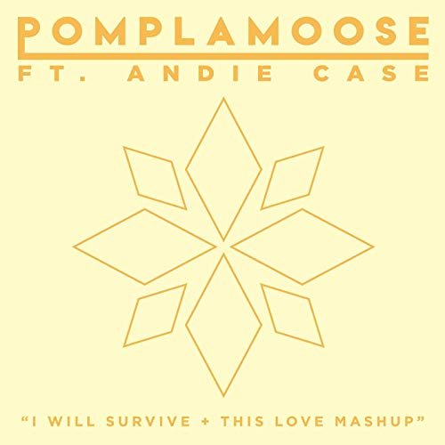 I Will Survive + This Love Mashup