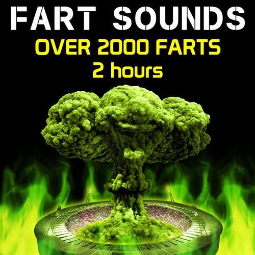Fart Sounds - Over 2000 Farts (2 Hours)