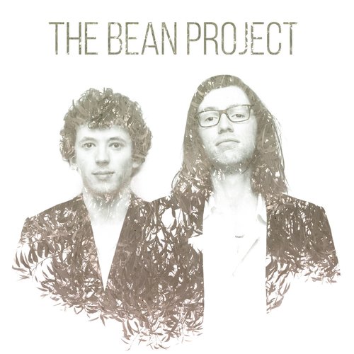 The Bean Project