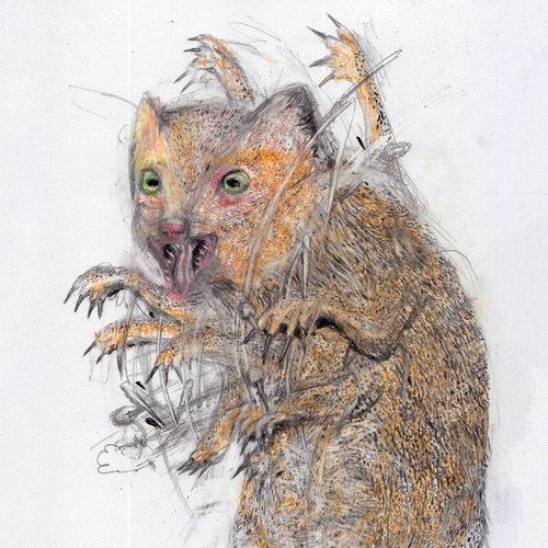 Mongoose [Explicit]