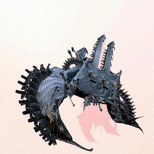 neck