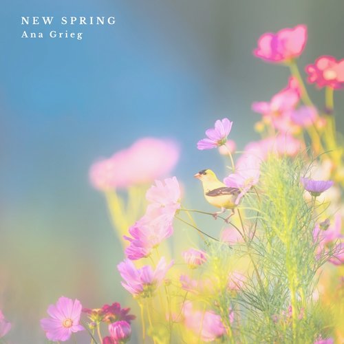 New Spring
