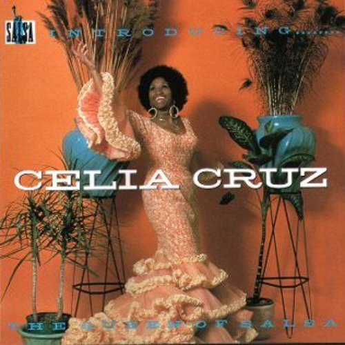Introducing ... Celia Cruz
