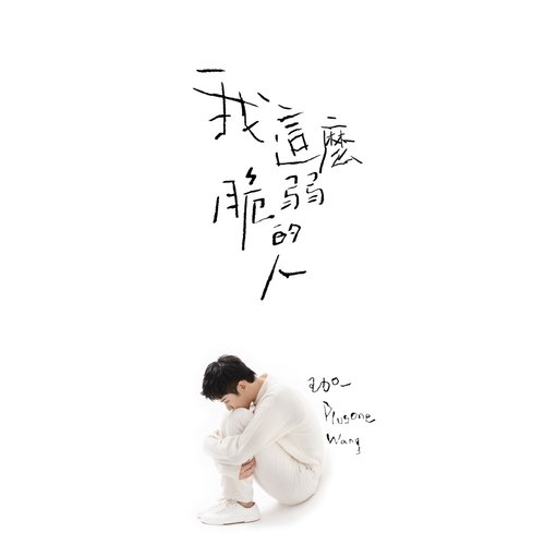 我這麼脆弱的人