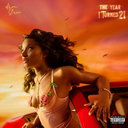 The Year I Turned 21 [Explicit]