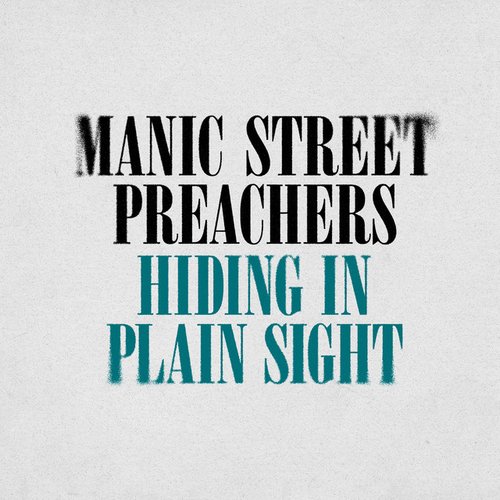 Hiding in Plain Sight - Single