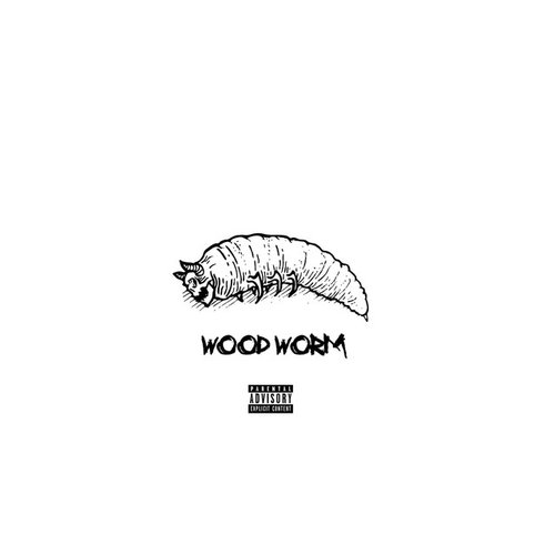 Wood Worm