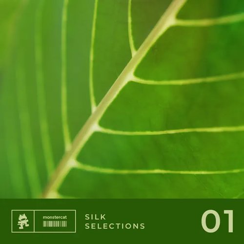 Silk Selections 01 - EP