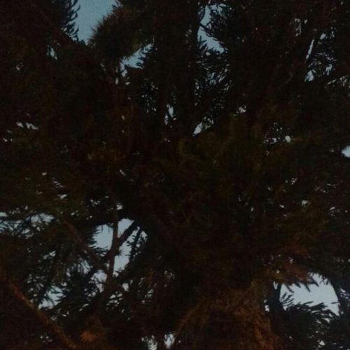 040717