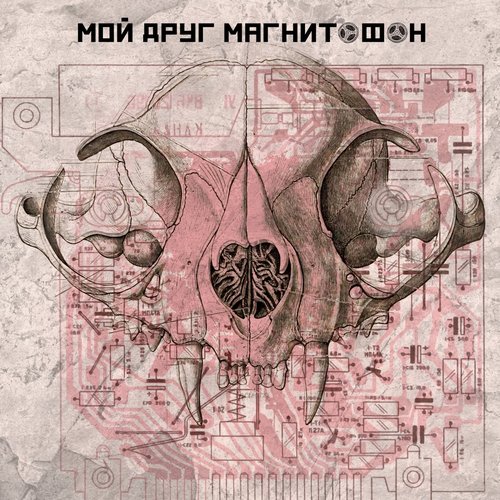 мой друг магнитофон