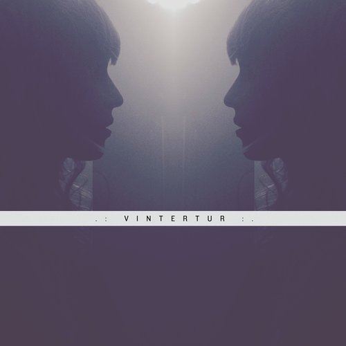 VINTERTUR