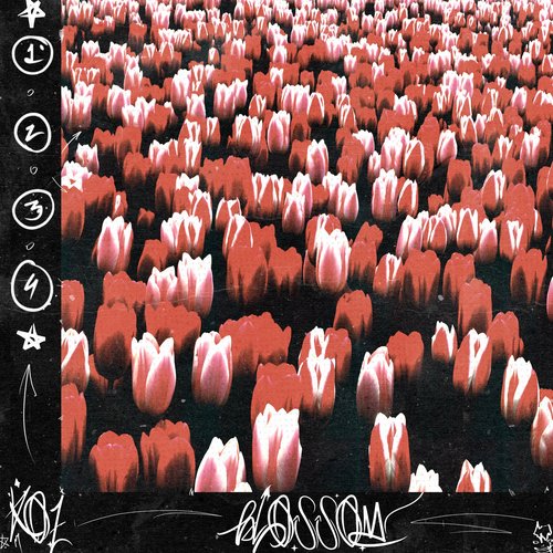 Blossom