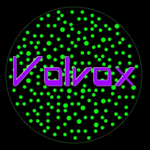 Volvox