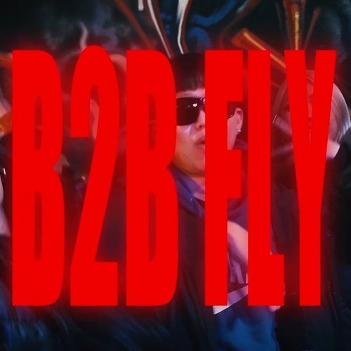 B2B FLY
