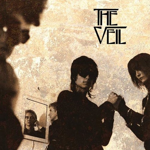 The Veil History