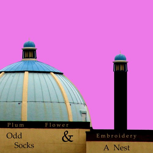 Odd Socks and A Nest