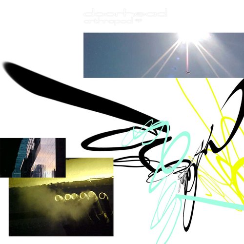 Arthtropod