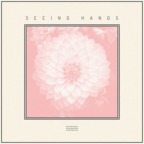 Seeing Hands