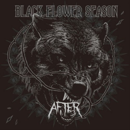 After - Single