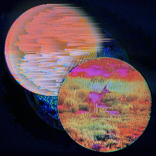 Branching Out, Reaching Forward